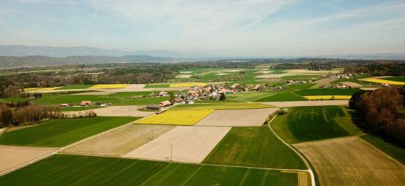 Dieterswil, Bangerten